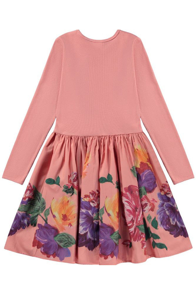 Casie poplin skirt dress in printed border back view
