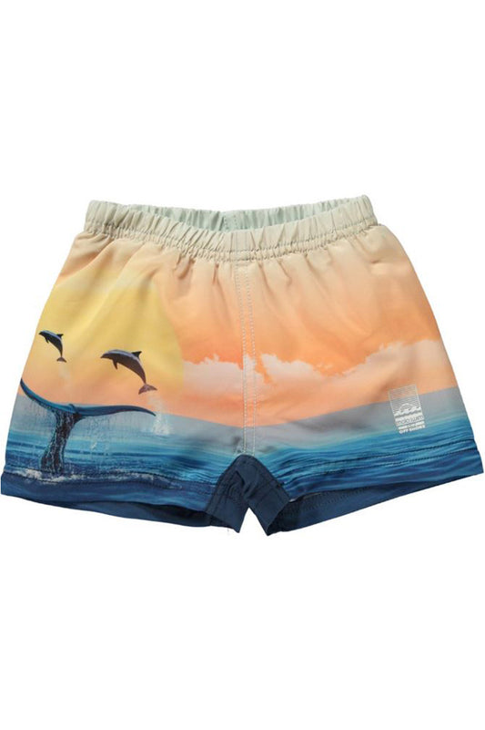 Newton swim shorts in ocean smile back view