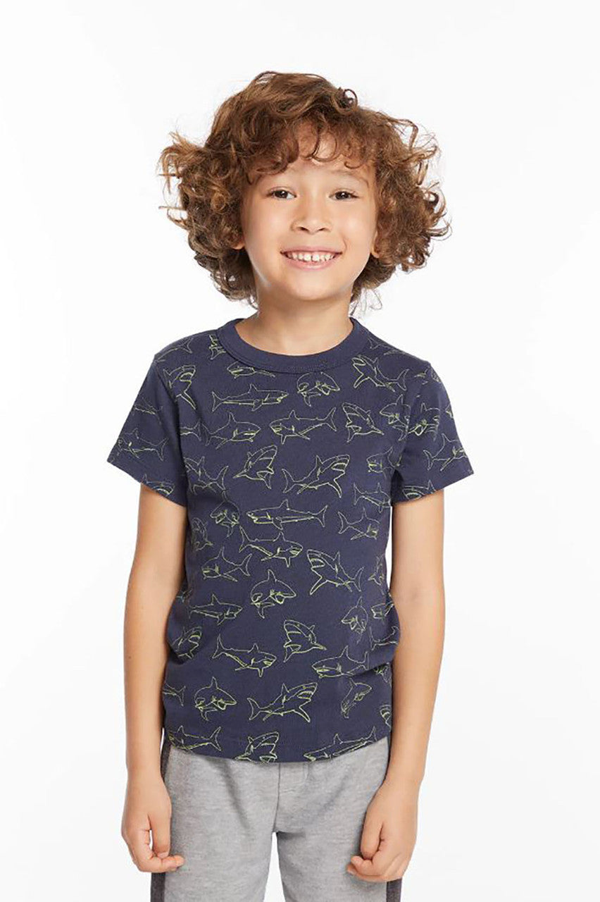 boys shark t-shirt, avalon