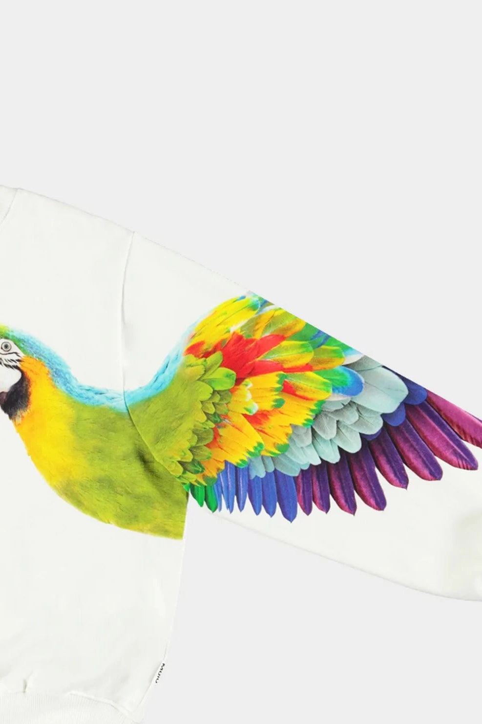 Off-white sweatshirt sleeve with large parrot wing graphic in rainbow colors