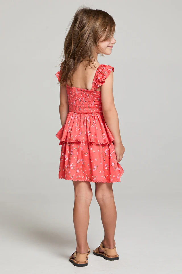 Raynbow mini dress in crimson back view