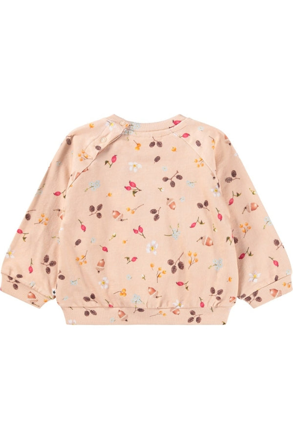 DISC SWEATSHIRT IN FORAGING ROSE BACK VIEW