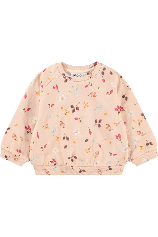 DISC SWEATSHIRT IN FORAGING ROSE FRONT VIEW