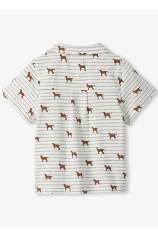 Jersey button down in little pups back view