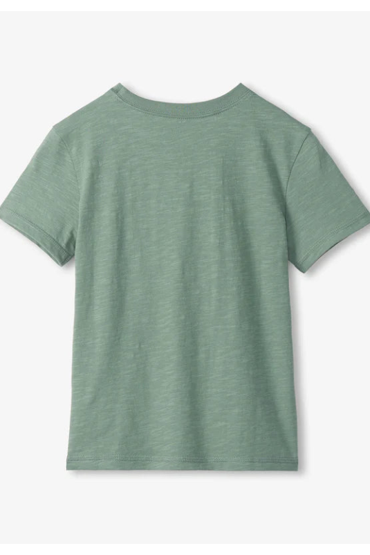 Graphic tee in fishing lures back view