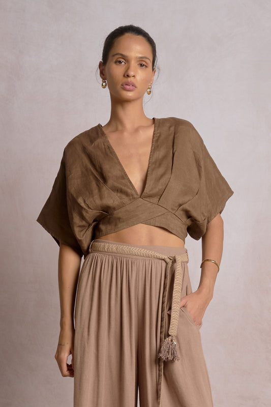 Brown open-back tie crop top, V-neck front, short sleeves