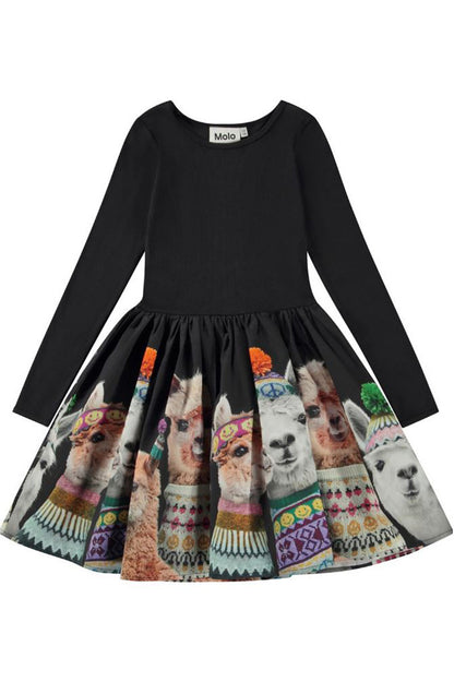 Casie Poplin Skirt Dress in family photo front view