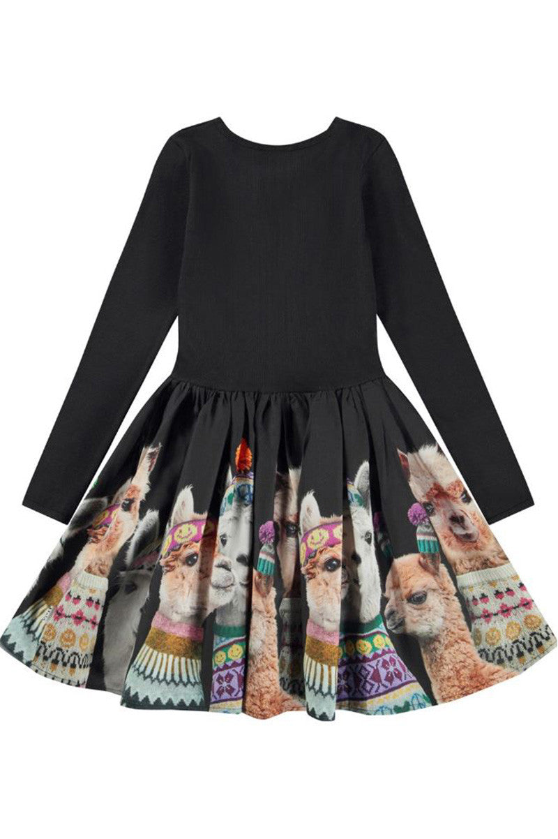 Casie poplin skirt dress in family photo back view