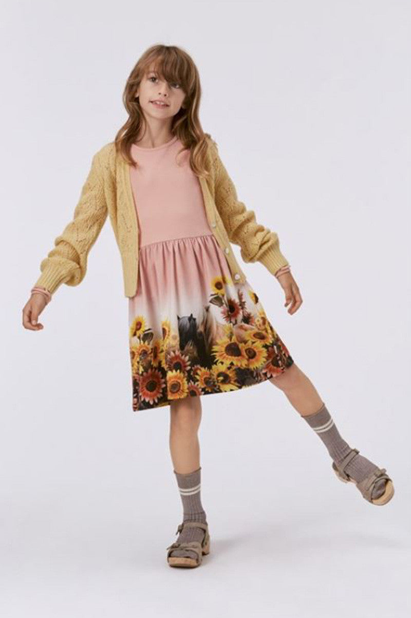 Long sleeve credence dress in sunny ponies style view