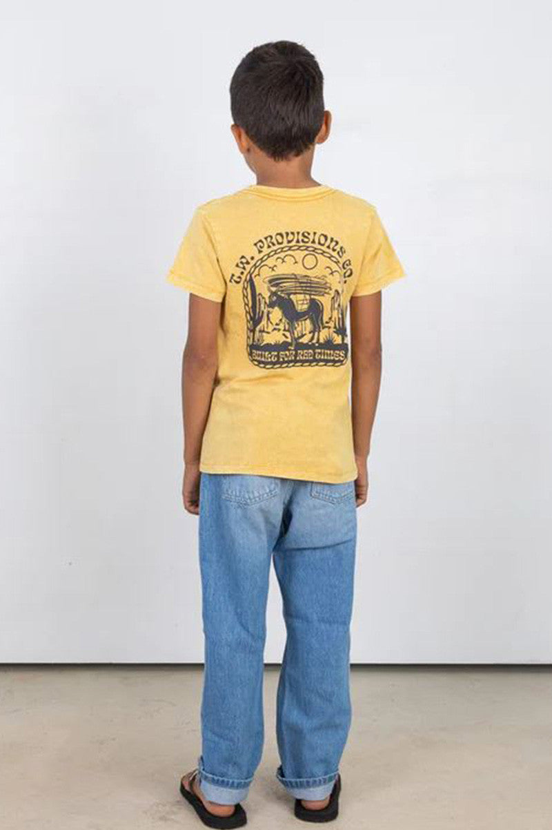 boys provisions tee, vintage gold, back