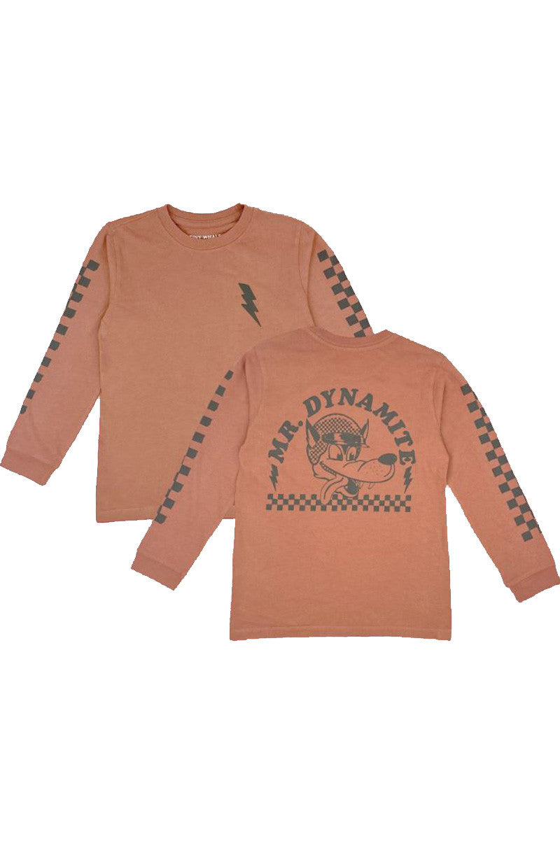 mr dynamite long sleeve tee in brick
