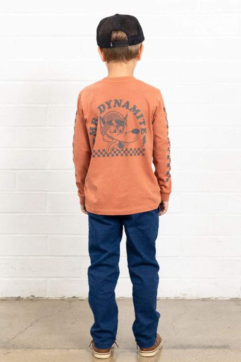 mr dynamite long sleeve tee in brick back view