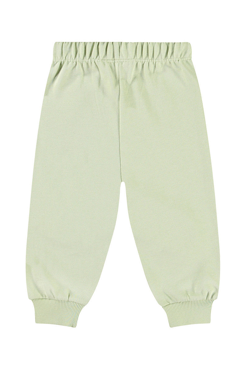 Simeon sweatpants  in misty green back view