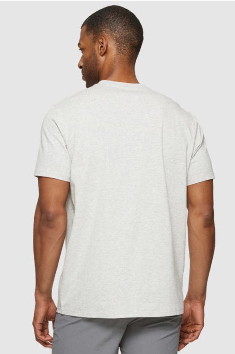 Essential Short sleeve crew neck tee in light grey heather back view