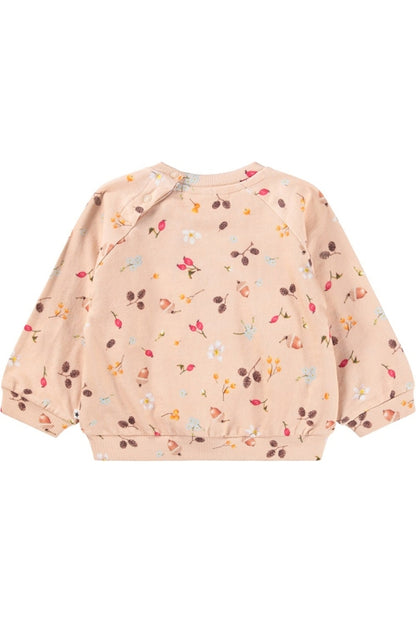 DISC SWEATSHIRT IN FORAGING ROSE BACK VIEW