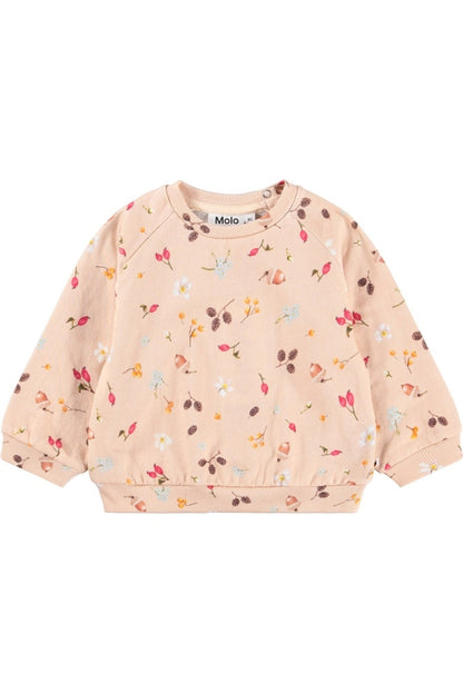 DISC SWEATSHIRT IN FORAGING ROSE FRONT VIEW