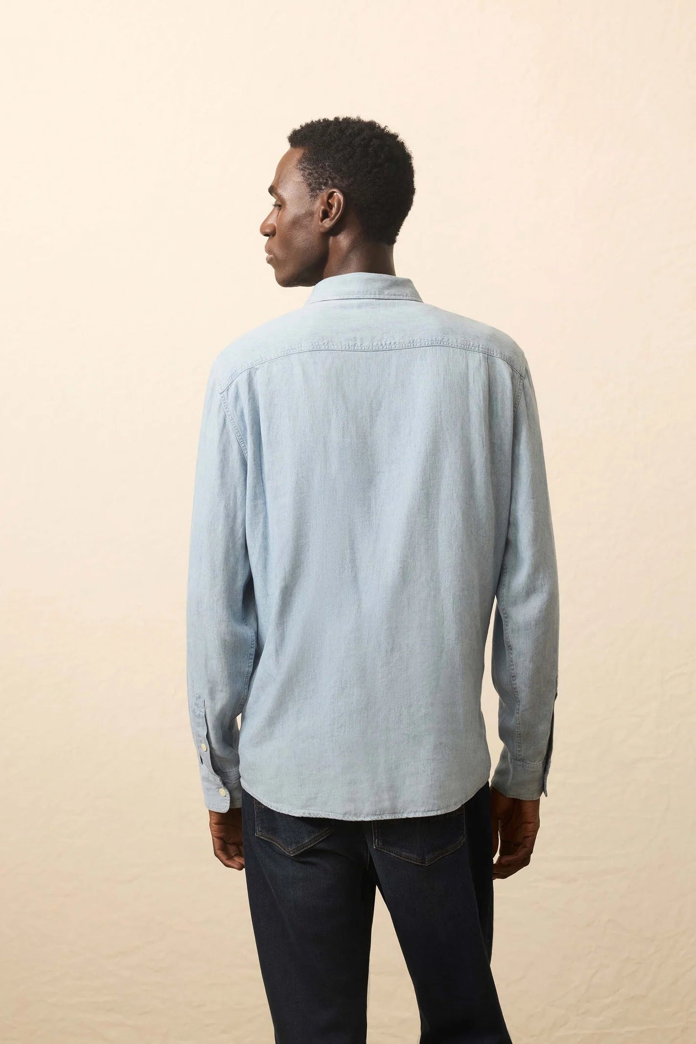 TRIED TRUE CHAMBRAY WORKSHIRT IN VINTAGE INDIGO BACK VIEW