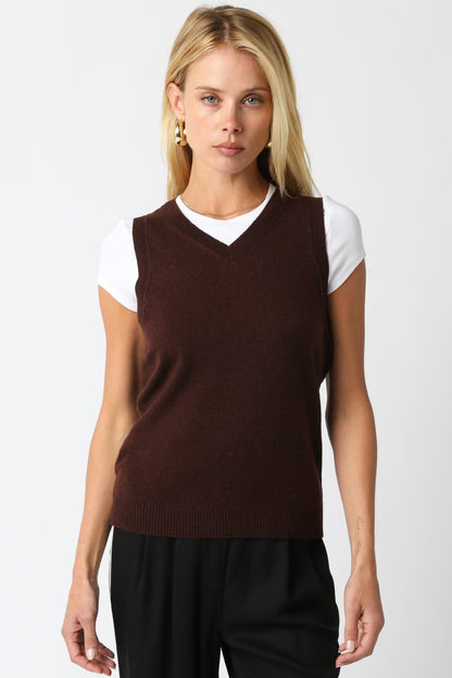 Sena knit vest in brown front view