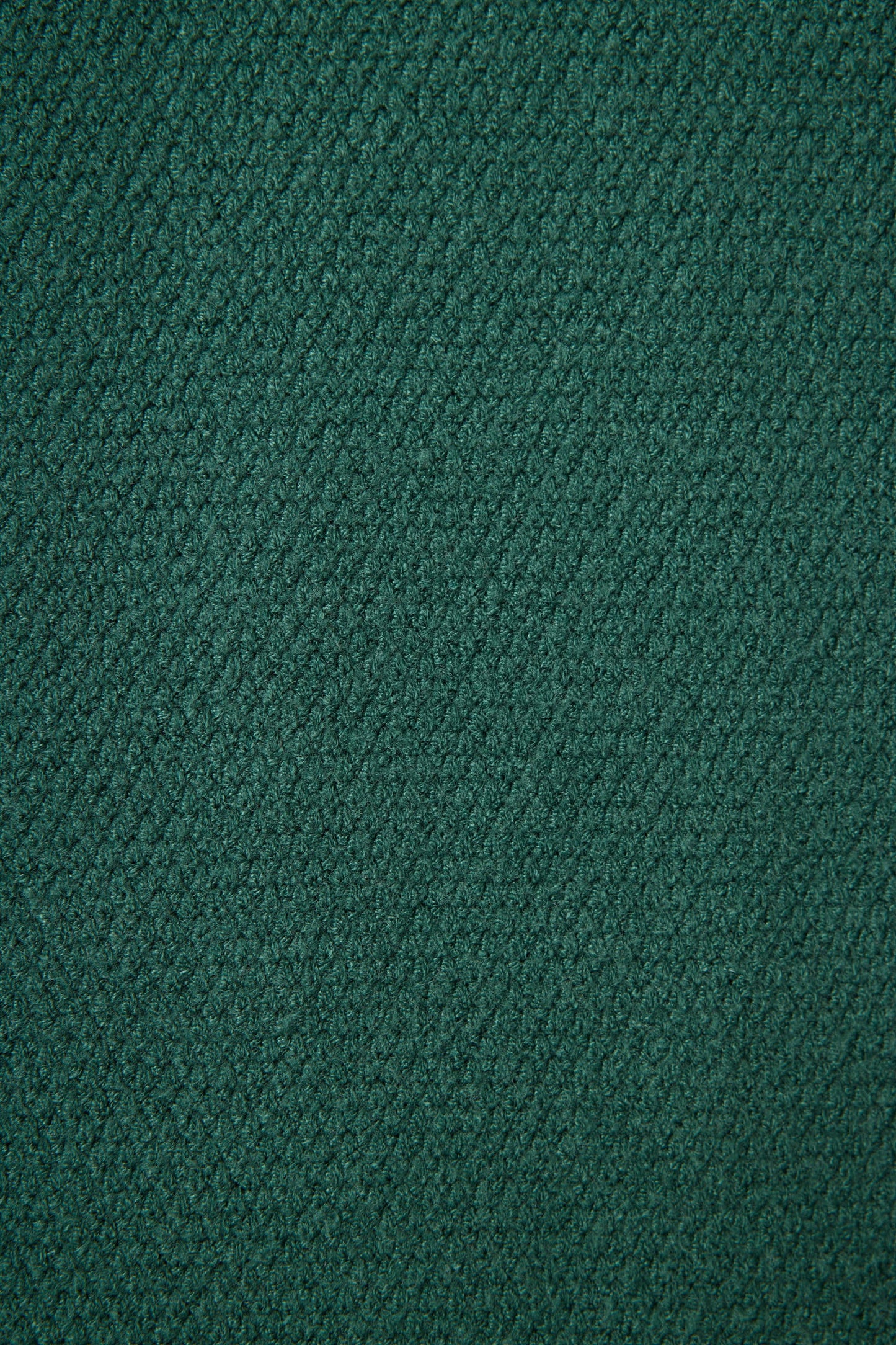 SWEATER WEATHER PANT IN DARK FOREST DETAIL VIEW