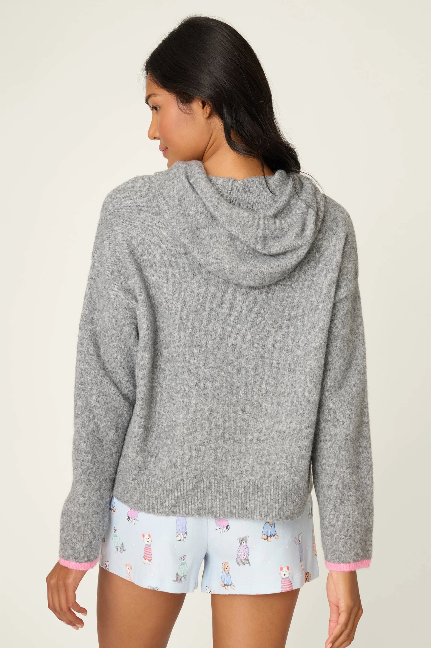 DOGGONE COLD HOODIE IN HEATHER CHARCOAL BACK VIEW