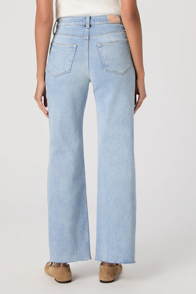 Anessa 31" wide leg jean in la belle back view