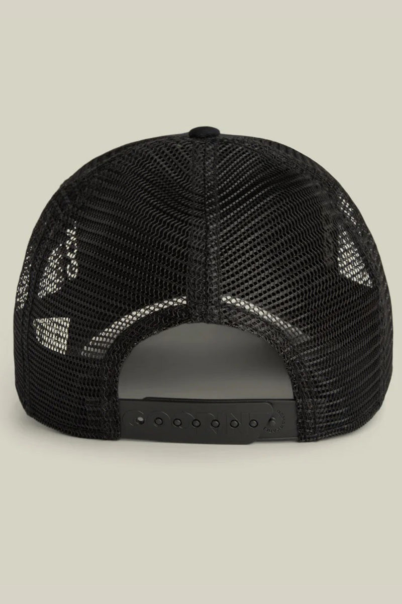 Stallion trucker in void back view