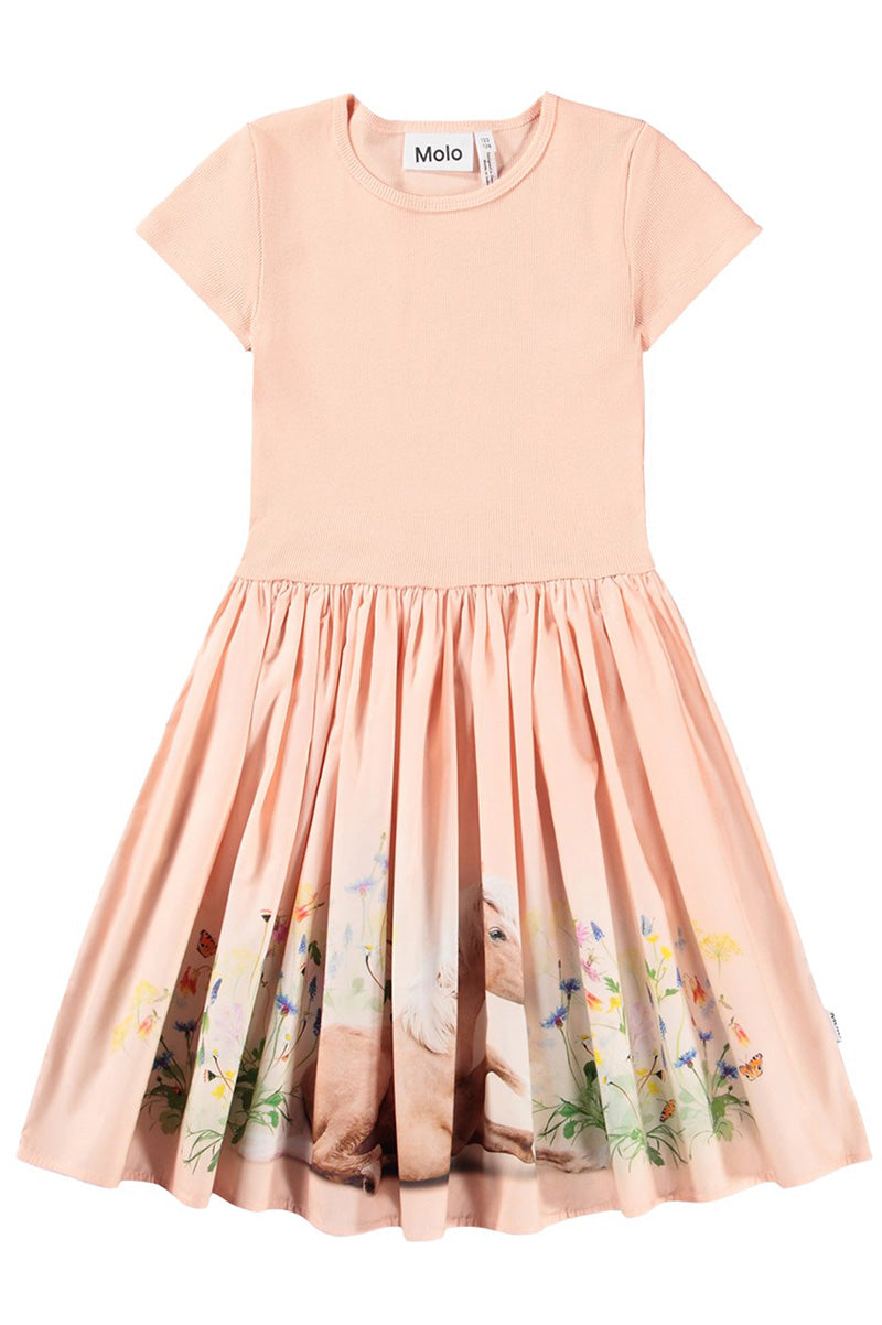 Cissa short sleeve dress in siesta front view