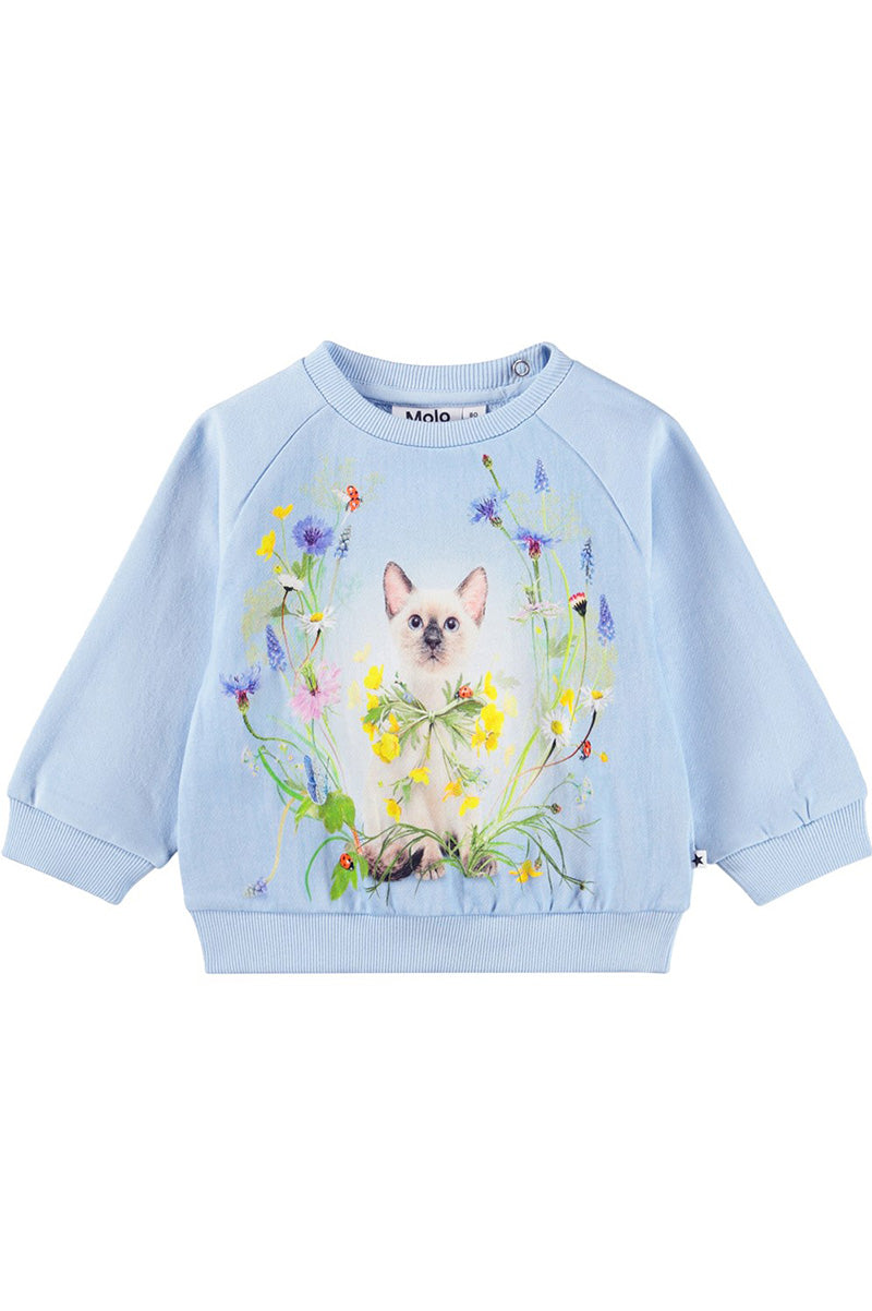 Disc sweatshirt in meadow kitten lt blue front view