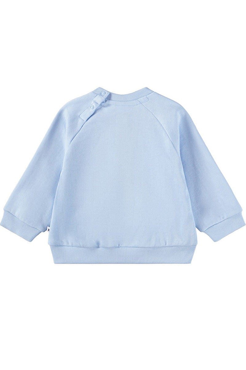Disc sweatshirt in meadow kitten lt blue back view