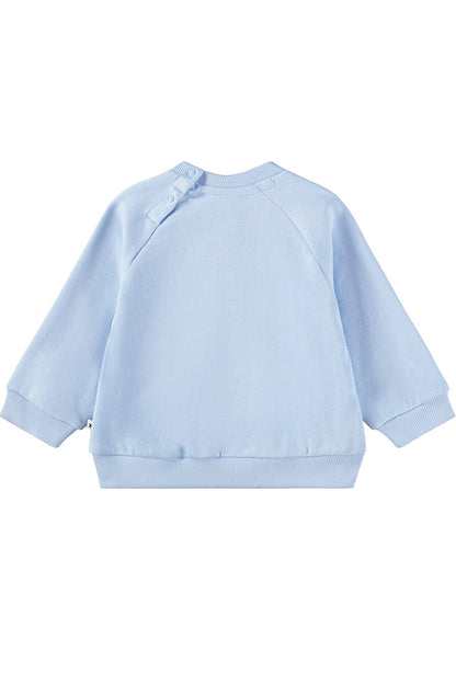 Disc sweatshirt in meadow kitten lt blue back view