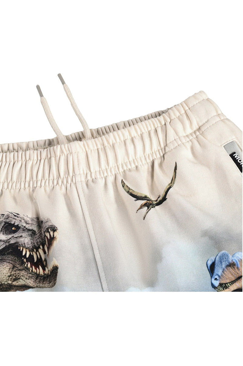 Amil shorts hot sprint dino detail view