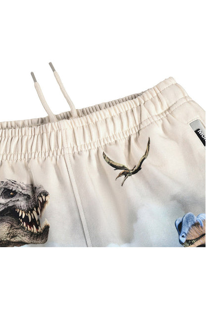 Amil shorts hot sprint dino detail view