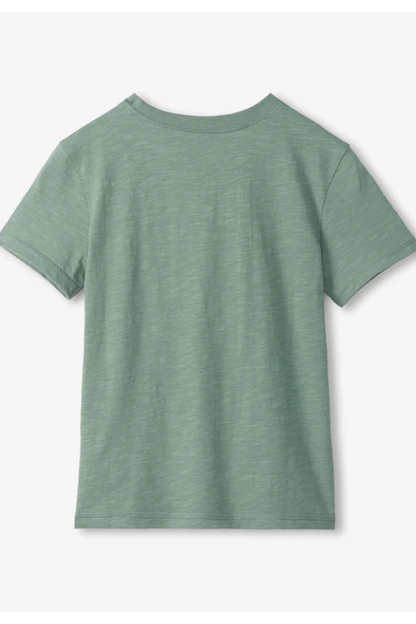 Graphic tee in fishing lures back view