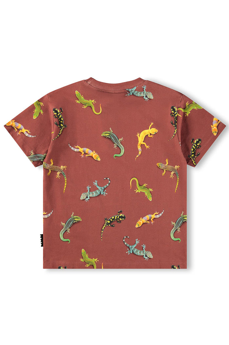 Kids crew-neck tee in rust-brown with multicolor lizard/dinosaur graphic