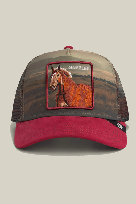 Stallion in element trucker in crush front view