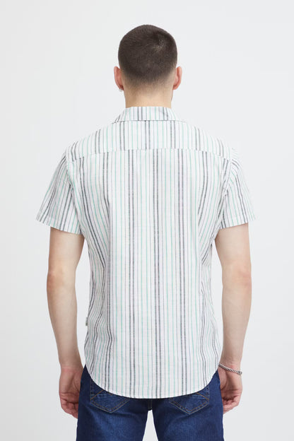 Men's short-sleeve button-down shirt with vertical thin stripes, back view, point collar