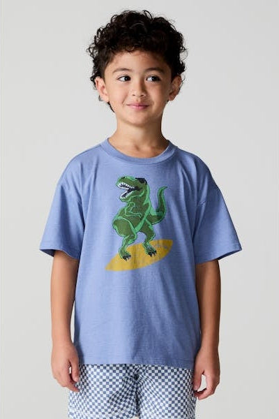 Kids light blue T-shirt featuring a green T-rex graphic centered on the chest.