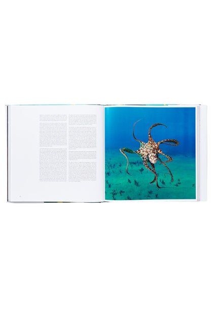 Open sea photo book showing an octopus image on the right page