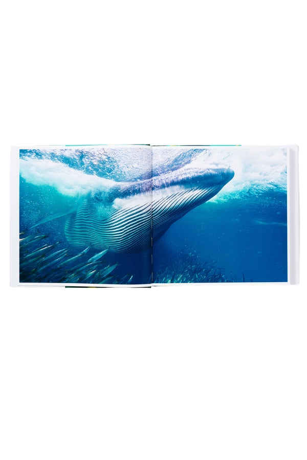 Open sea photo book with an underwater whale image across both pages