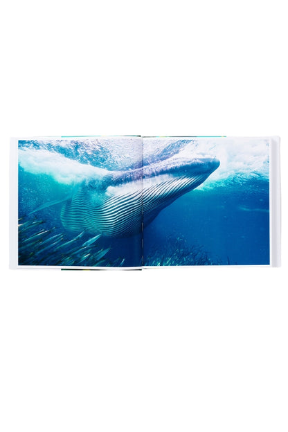 Open sea photo book with an underwater whale image across both pages