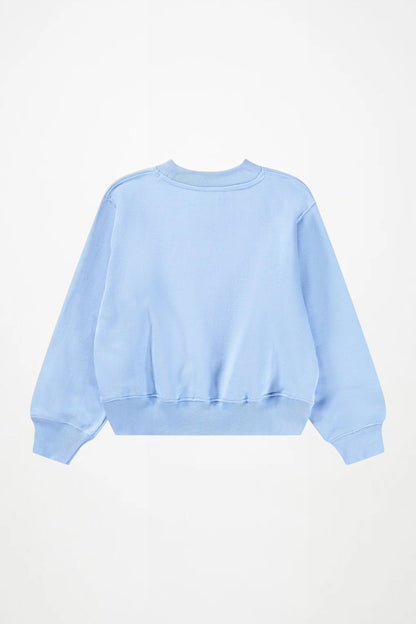 A light blue crewneck sweatshirt shown from the back, laid flat against a clean white background.