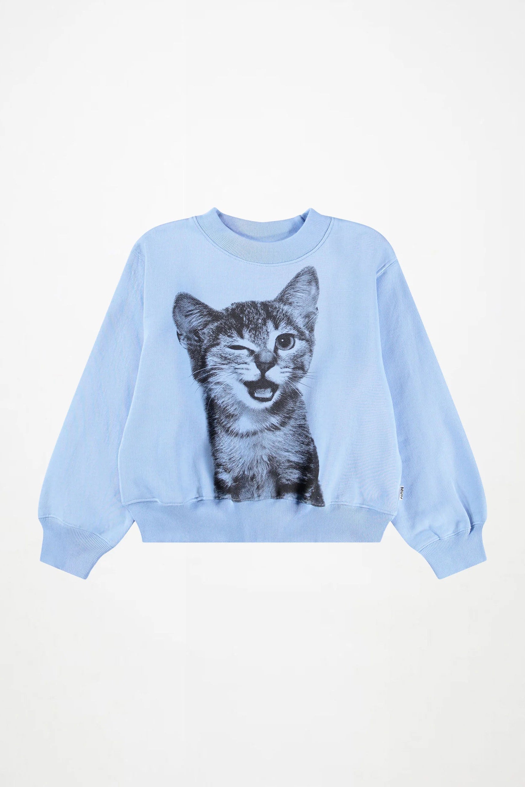 A light blue crewneck sweatshirt featuring a large graphic print of a winking tabby kitten on the front, displayed against a clean white background.