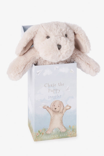 Plush toy puppy dog in a gift box on a white background