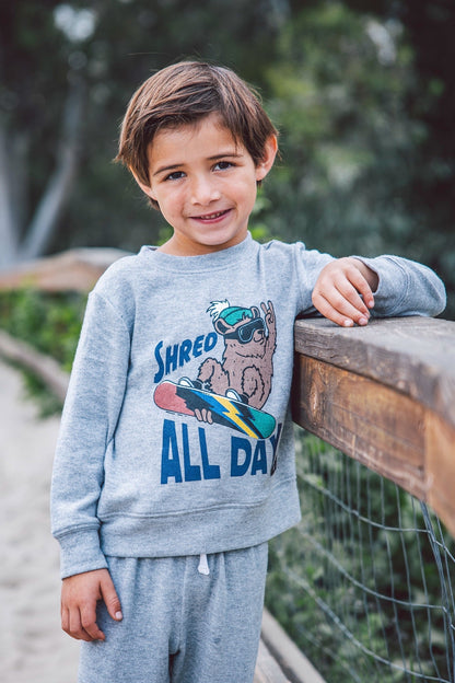 A young boy wearing a light gray sweatshirt and matching sweatpants stands on a wooden boardwalk outdoors. The sweatshirt features a graphic print of a bulldog wearing goggles and the text 'SHRED ALL DAY'.